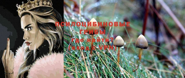 гидра Майский
