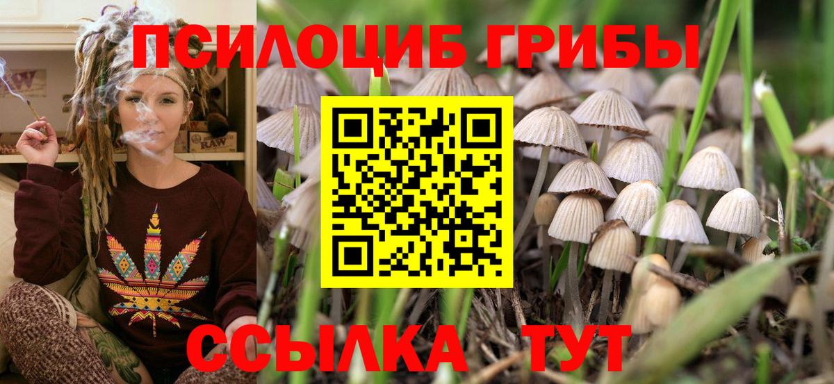 Псилоцибиновые грибы мухоморы  Вход с VPN  Псилоцибиновые грибы MAGIC MUSHROOMS  Шахты 