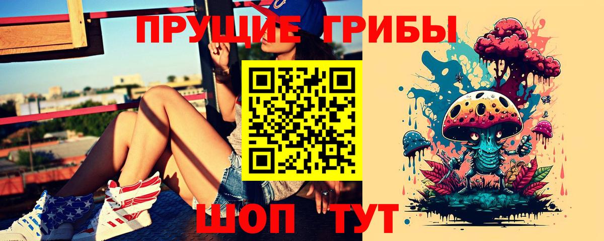 Псилоцибиновые грибы GOLDEN TEACHER Шахты
